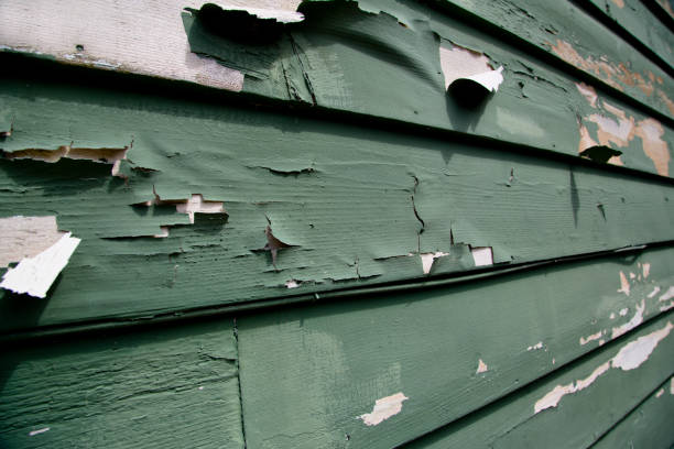 Best Residential Vinyl Siding Installation  in Lakeland South, WA
