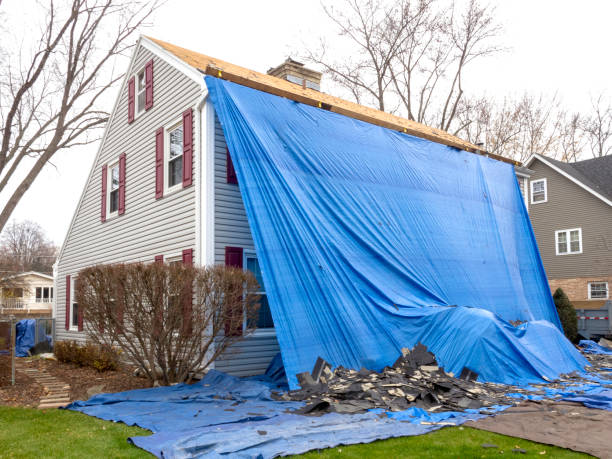 Reliable Lakeland South, WA Siding Installation & Repair Solutions